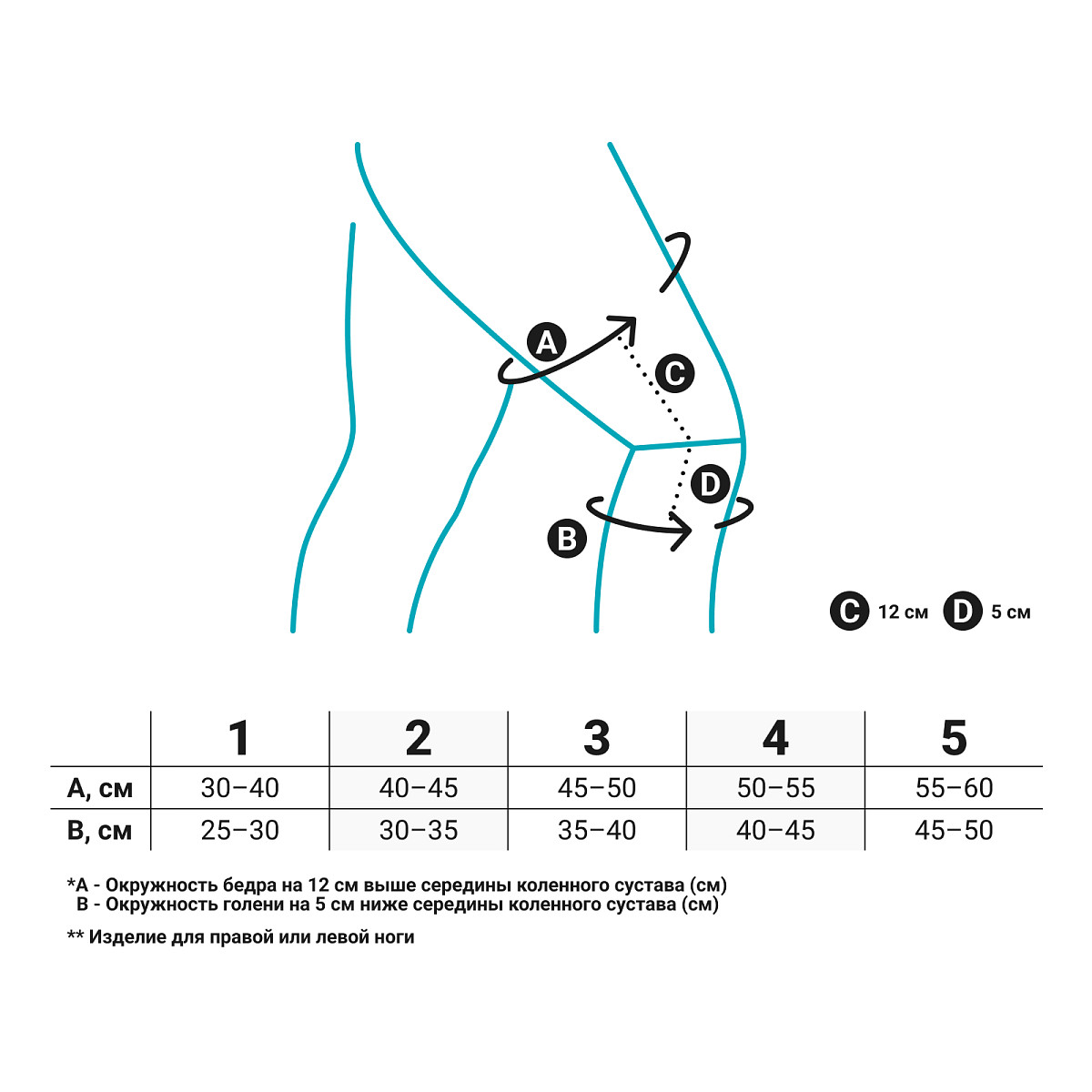 Ортез на коленный сустав RKN-381 Orlett, сильная фиксация купить в OrtoMir24